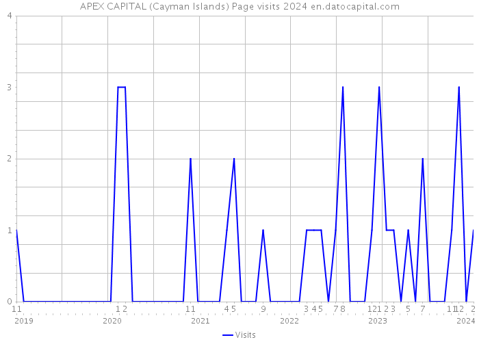 APEX CAPITAL (Cayman Islands) Page visits 2024 