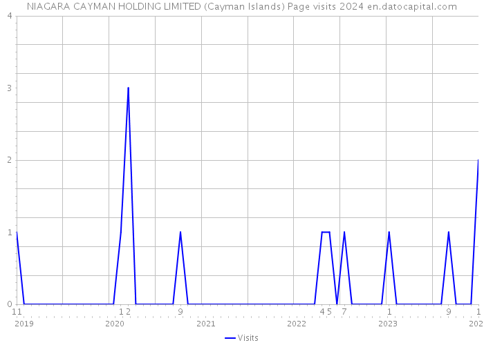 NIAGARA CAYMAN HOLDING LIMITED (Cayman Islands) Page visits 2024 