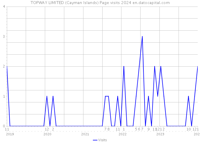 TOPWAY LIMITED (Cayman Islands) Page visits 2024 