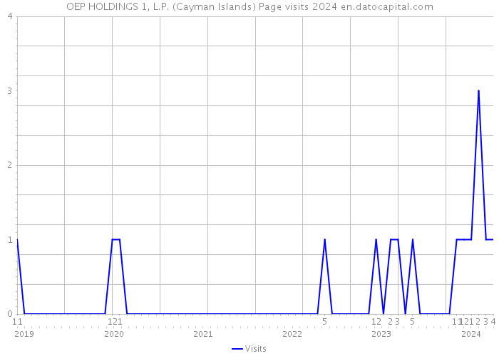 OEP HOLDINGS 1, L.P. (Cayman Islands) Page visits 2024 