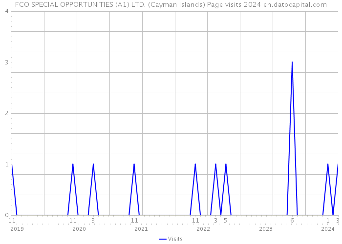 FCO SPECIAL OPPORTUNITIES (A1) LTD. (Cayman Islands) Page visits 2024 