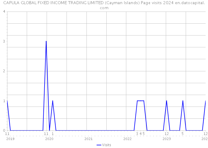 CAPULA GLOBAL FIXED INCOME TRADING LIMITED (Cayman Islands) Page visits 2024 