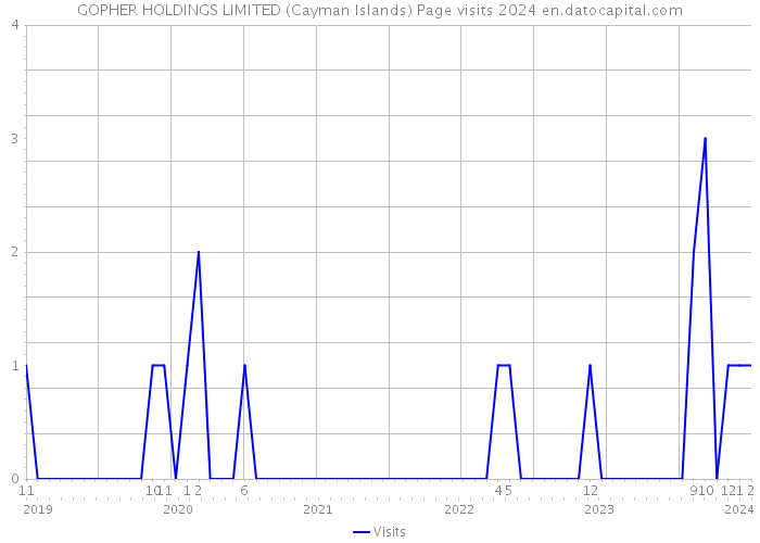 GOPHER HOLDINGS LIMITED (Cayman Islands) Page visits 2024 