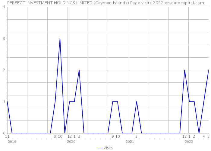 PERFECT INVESTMENT HOLDINGS LIMITED (Cayman Islands) Page visits 2022 