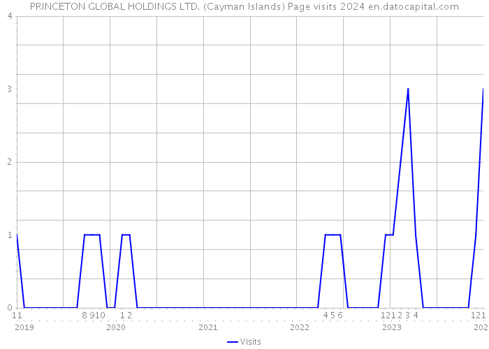 PRINCETON GLOBAL HOLDINGS LTD. (Cayman Islands) Page visits 2024 