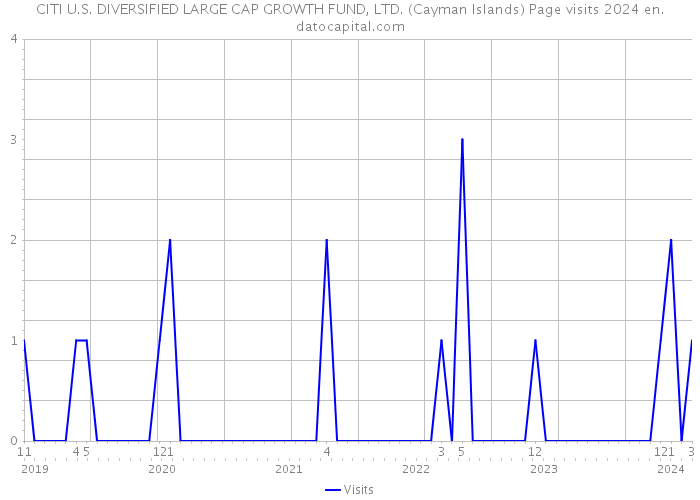 CITI U.S. DIVERSIFIED LARGE CAP GROWTH FUND, LTD. (Cayman Islands) Page visits 2024 