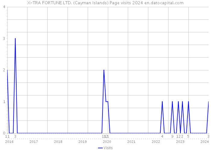 X-TRA FORTUNE LTD. (Cayman Islands) Page visits 2024 
