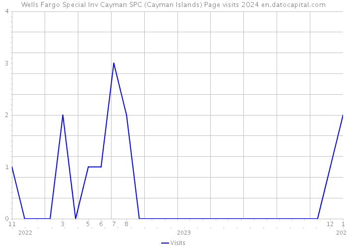 Wells Fargo Special Inv Cayman SPC (Cayman Islands) Page visits 2024 