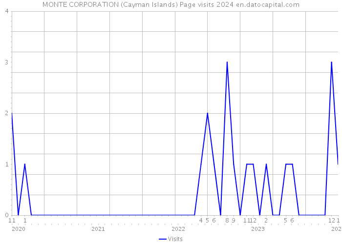 MONTE CORPORATION (Cayman Islands) Page visits 2024 