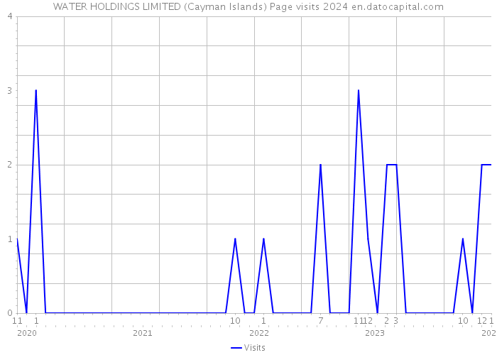 WATER HOLDINGS LIMITED (Cayman Islands) Page visits 2024 