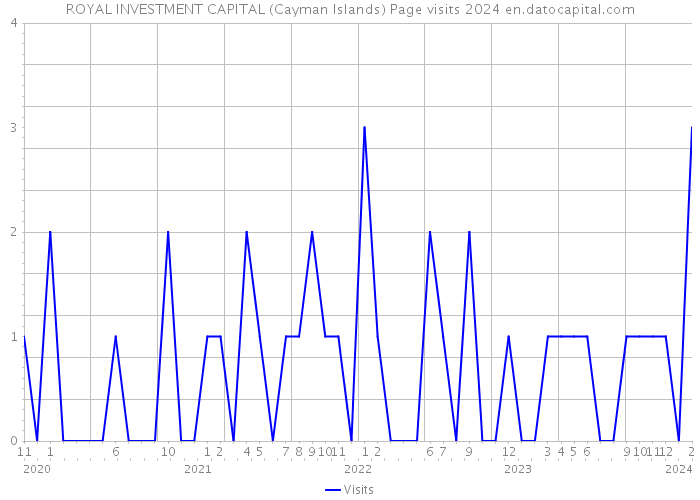 ROYAL INVESTMENT CAPITAL (Cayman Islands) Page visits 2024 