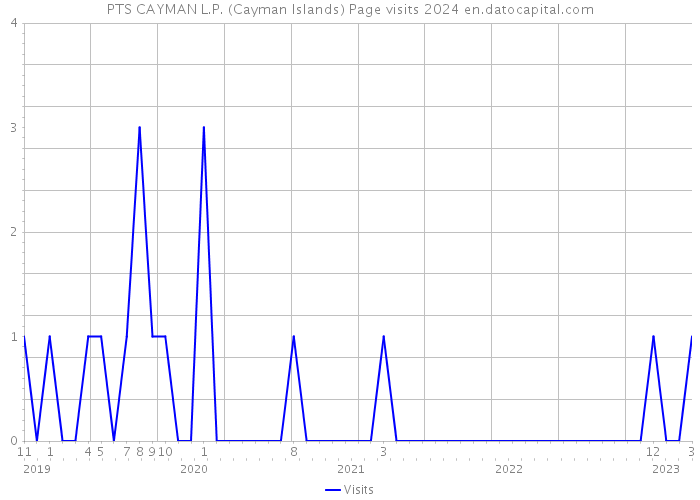 PTS CAYMAN L.P. (Cayman Islands) Page visits 2024 