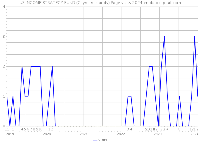 US INCOME STRATEGY FUND (Cayman Islands) Page visits 2024 