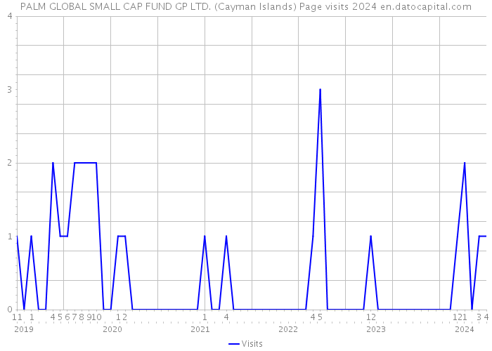 PALM GLOBAL SMALL CAP FUND GP LTD. (Cayman Islands) Page visits 2024 