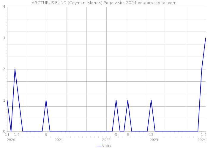 ARCTURUS FUND (Cayman Islands) Page visits 2024 