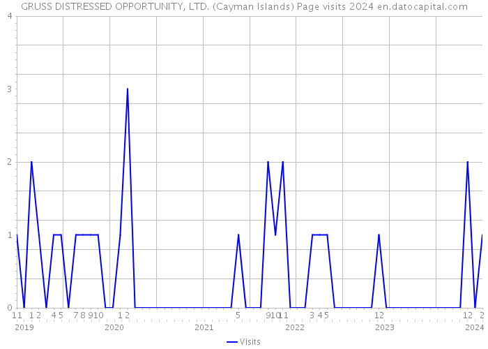 GRUSS DISTRESSED OPPORTUNITY, LTD. (Cayman Islands) Page visits 2024 