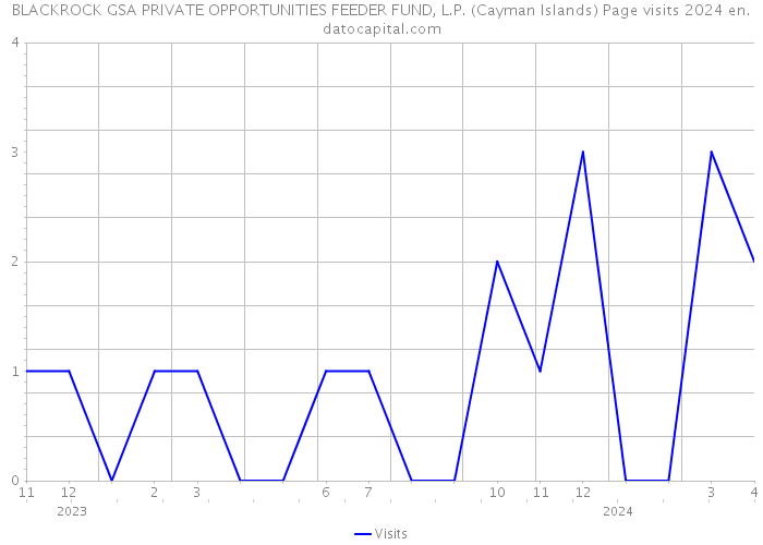 BLACKROCK GSA PRIVATE OPPORTUNITIES FEEDER FUND, L.P. (Cayman Islands) Page visits 2024 