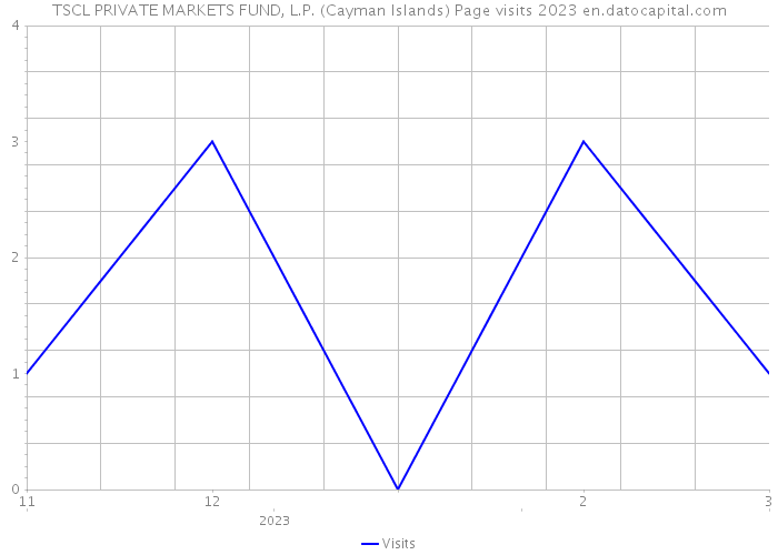 TSCL PRIVATE MARKETS FUND, L.P. (Cayman Islands) Page visits 2023 