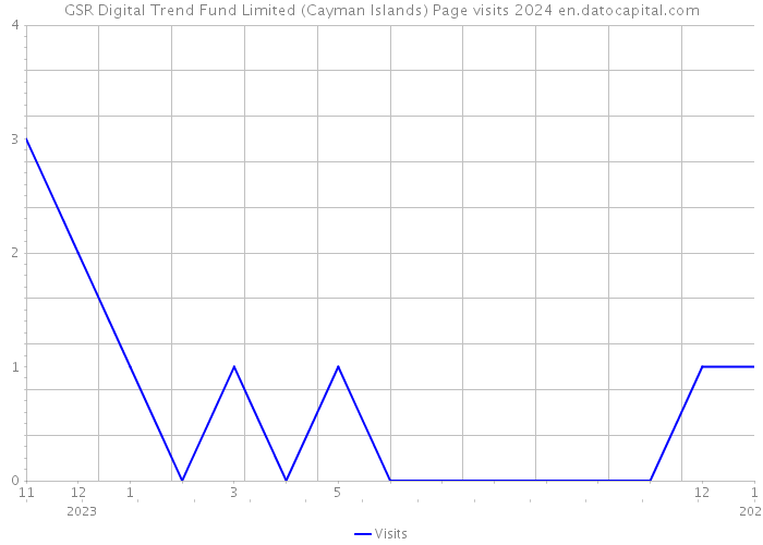 GSR Digital Trend Fund Limited (Cayman Islands) Page visits 2024 