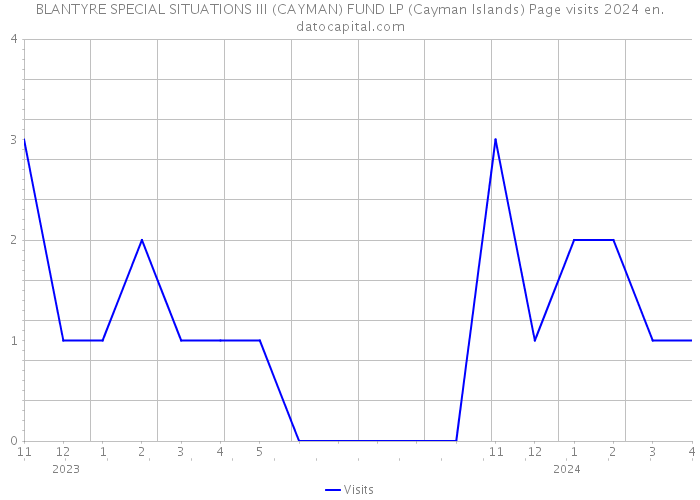 BLANTYRE SPECIAL SITUATIONS III (CAYMAN) FUND LP (Cayman Islands) Page visits 2024 