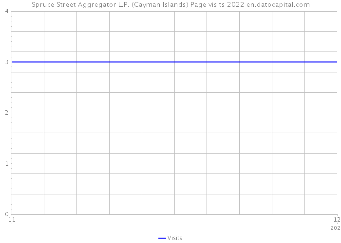 Spruce Street Aggregator L.P. (Cayman Islands) Page visits 2022 