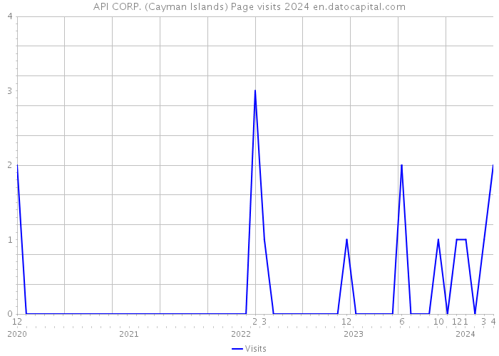 API CORP. (Cayman Islands) Page visits 2024 