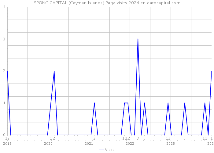SPONG CAPITAL (Cayman Islands) Page visits 2024 