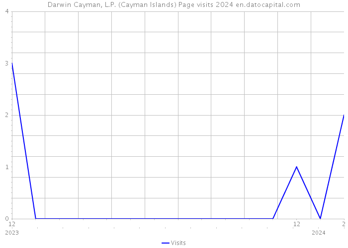 Darwin Cayman, L.P. (Cayman Islands) Page visits 2024 