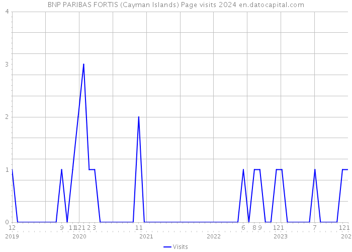 BNP PARIBAS FORTIS (Cayman Islands) Page visits 2024 