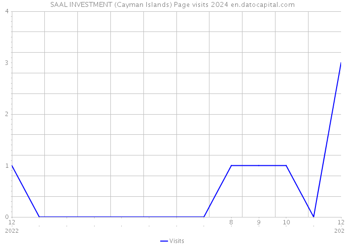 SAAL INVESTMENT (Cayman Islands) Page visits 2024 