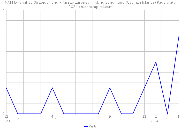 NAM Diversified Strategy Fund - Nissay European Hybrid Bond Fund (Cayman Islands) Page visits 2024 