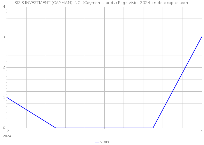 BIZ B INVESTMENT (CAYMAN) INC. (Cayman Islands) Page visits 2024 