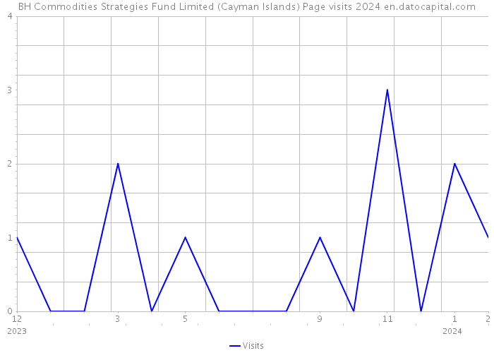BH Commodities Strategies Fund Limited (Cayman Islands) Page visits 2024 
