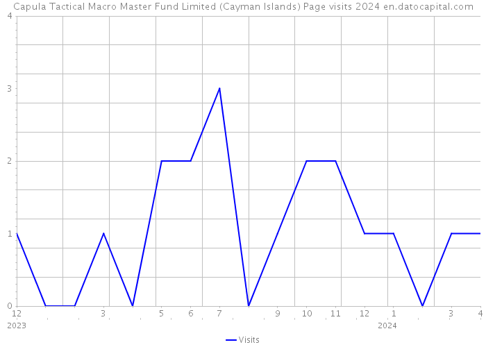 Capula Tactical Macro Master Fund Limited (Cayman Islands) Page visits 2024 