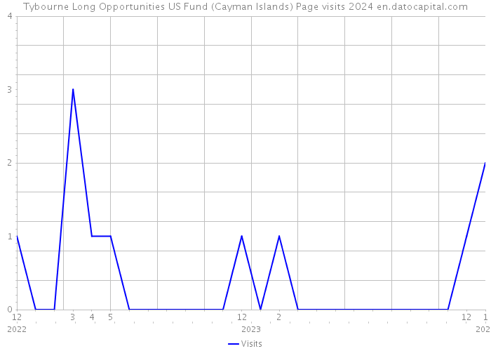 Tybourne Long Opportunities US Fund (Cayman Islands) Page visits 2024 
