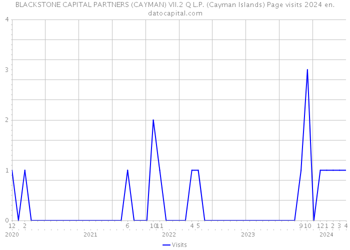 BLACKSTONE CAPITAL PARTNERS (CAYMAN) VII.2 Q L.P. (Cayman Islands) Page visits 2024 