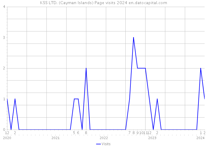 KSS LTD. (Cayman Islands) Page visits 2024 