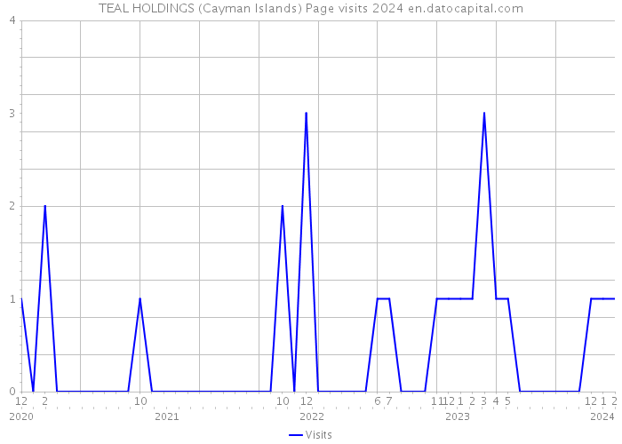 TEAL HOLDINGS (Cayman Islands) Page visits 2024 