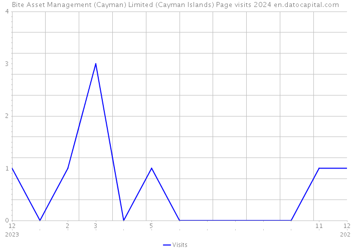 Bite Asset Management (Cayman) Limited (Cayman Islands) Page visits 2024 
