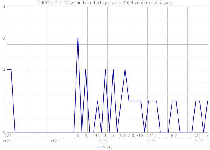 TRICON LTD. (Cayman Islands) Page visits 2024 