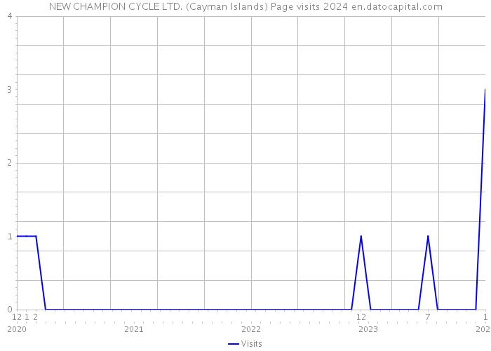 NEW CHAMPION CYCLE LTD. (Cayman Islands) Page visits 2024 
