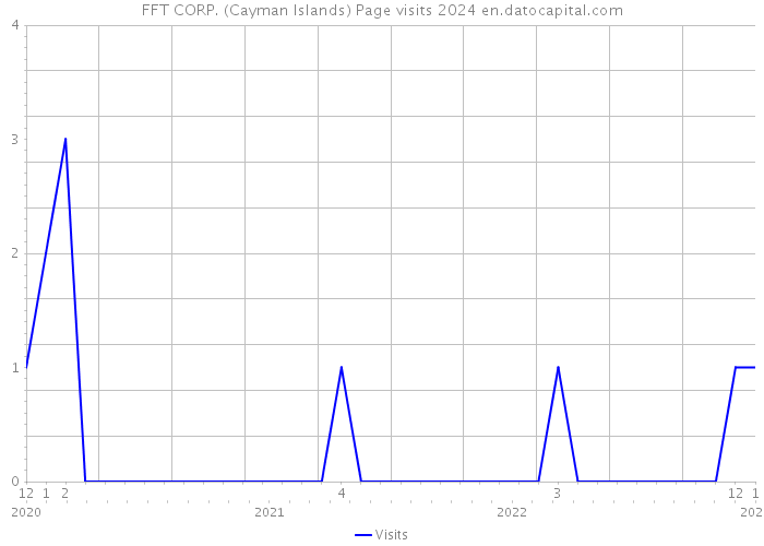 FFT CORP. (Cayman Islands) Page visits 2024 