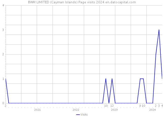 BWM LIMITED (Cayman Islands) Page visits 2024 