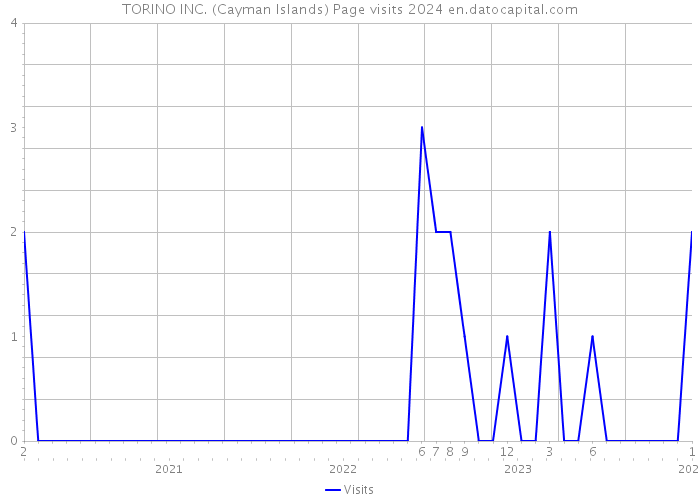 TORINO INC. (Cayman Islands) Page visits 2024 