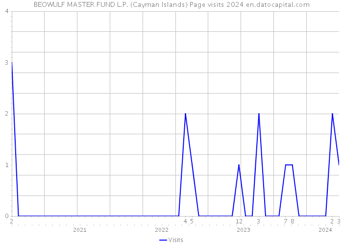 BEOWULF MASTER FUND L.P. (Cayman Islands) Page visits 2024 