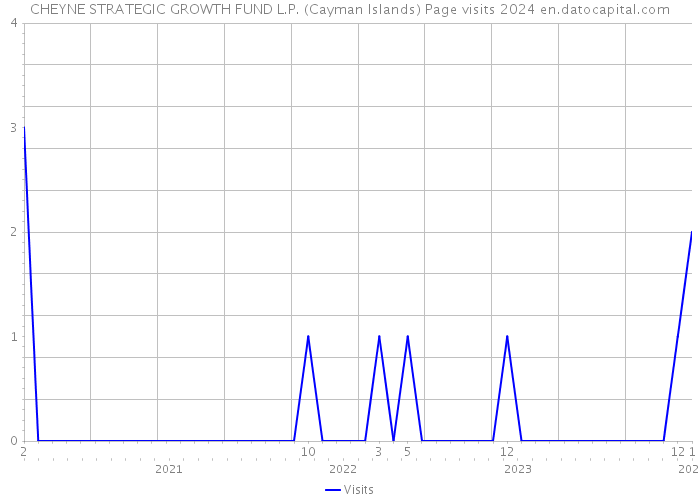 CHEYNE STRATEGIC GROWTH FUND L.P. (Cayman Islands) Page visits 2024 