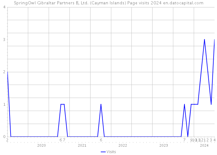 SpringOwl Gibraltar Partners B, Ltd. (Cayman Islands) Page visits 2024 
