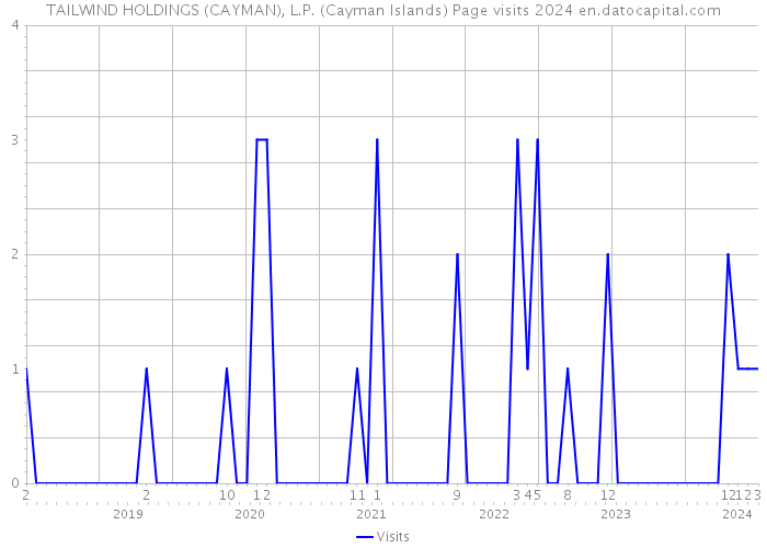 TAILWIND HOLDINGS (CAYMAN), L.P. (Cayman Islands) Page visits 2024 