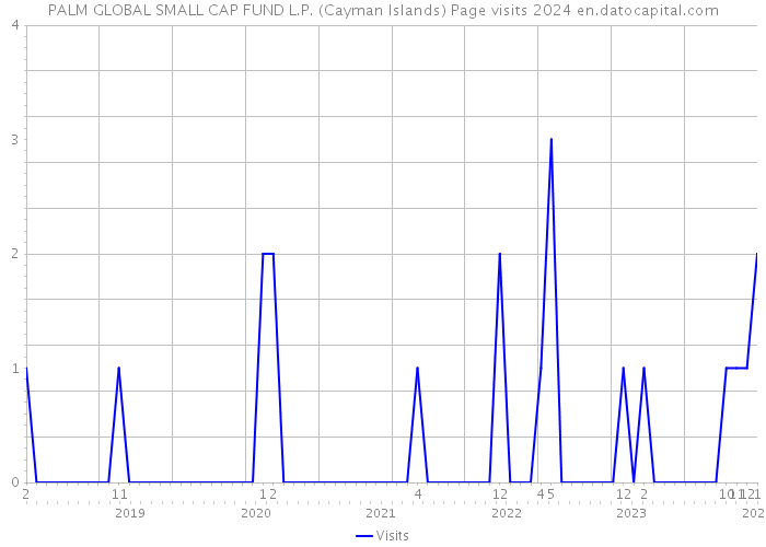 PALM GLOBAL SMALL CAP FUND L.P. (Cayman Islands) Page visits 2024 