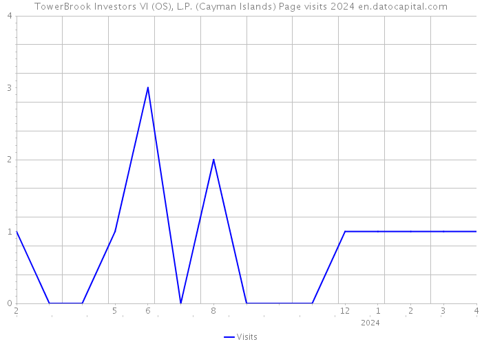 TowerBrook Investors VI (OS), L.P. (Cayman Islands) Page visits 2024 